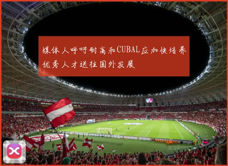 媒体人呼吁耐高和CUBAL应加快培养优秀人才送往国外发展